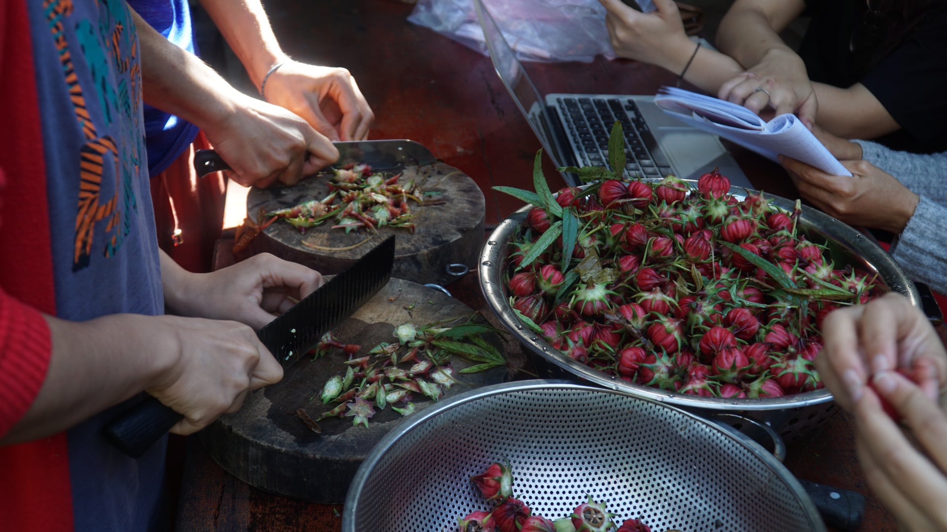 Farming tại Núi Tượng